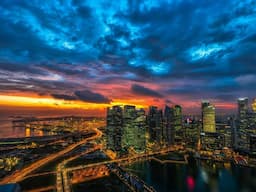 Bó Hoa Hướng Dương Vui Tươi 3